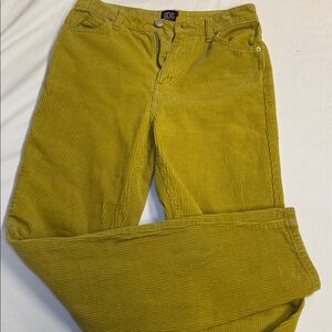 BDG corduroy pants Urban Outfitters